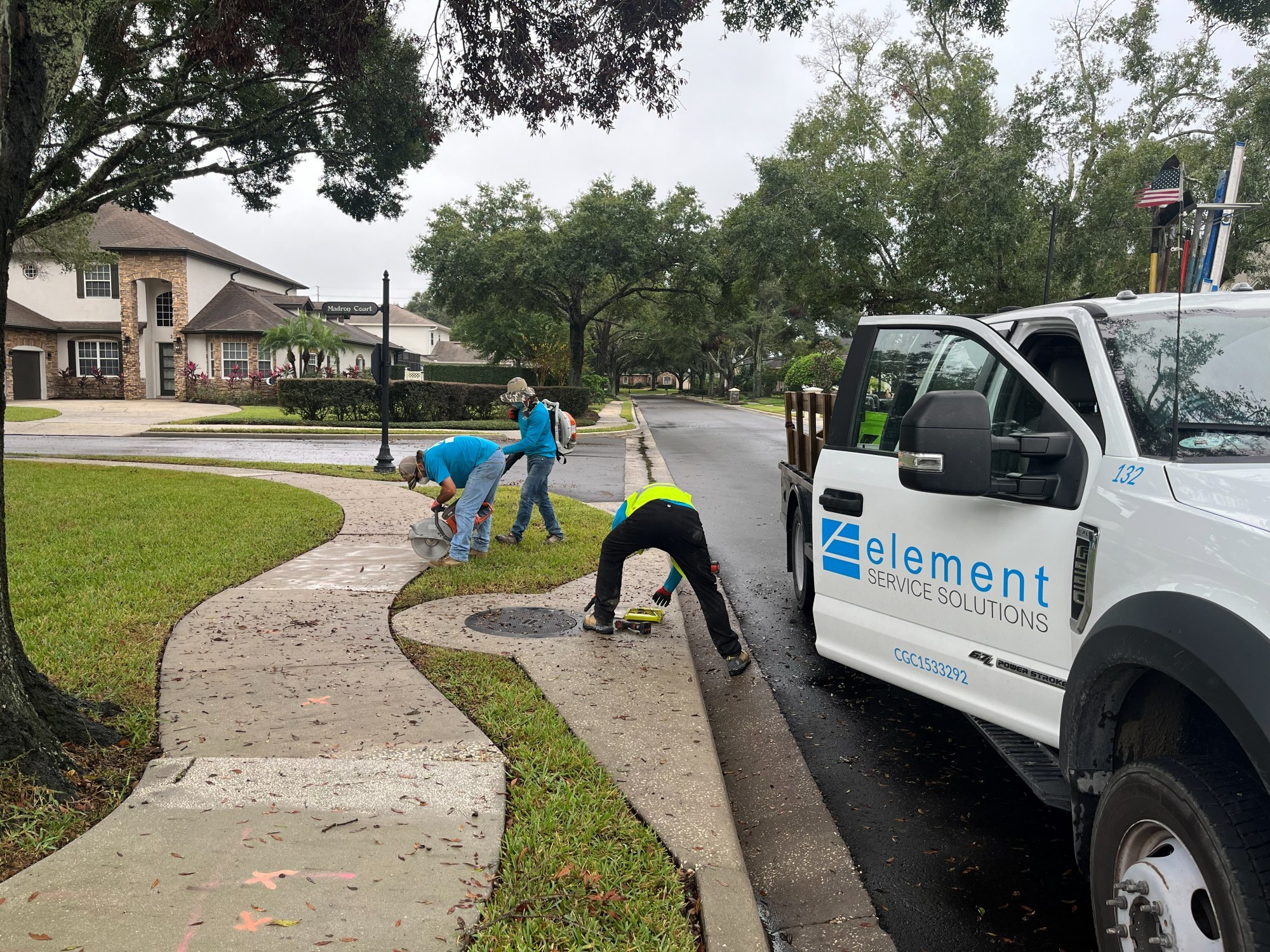 Element Service Solutions crew repairing a sidewalk section lifted beside a mature tree.