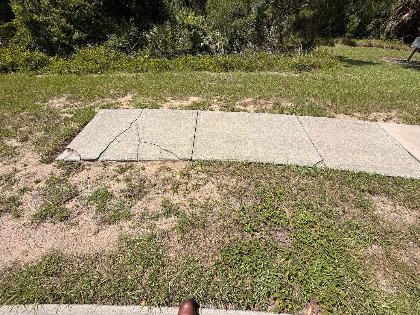Two concrete sidewalk panels cracked all the way through, the kind of damage that grinding cannot fix and that calls for replacement