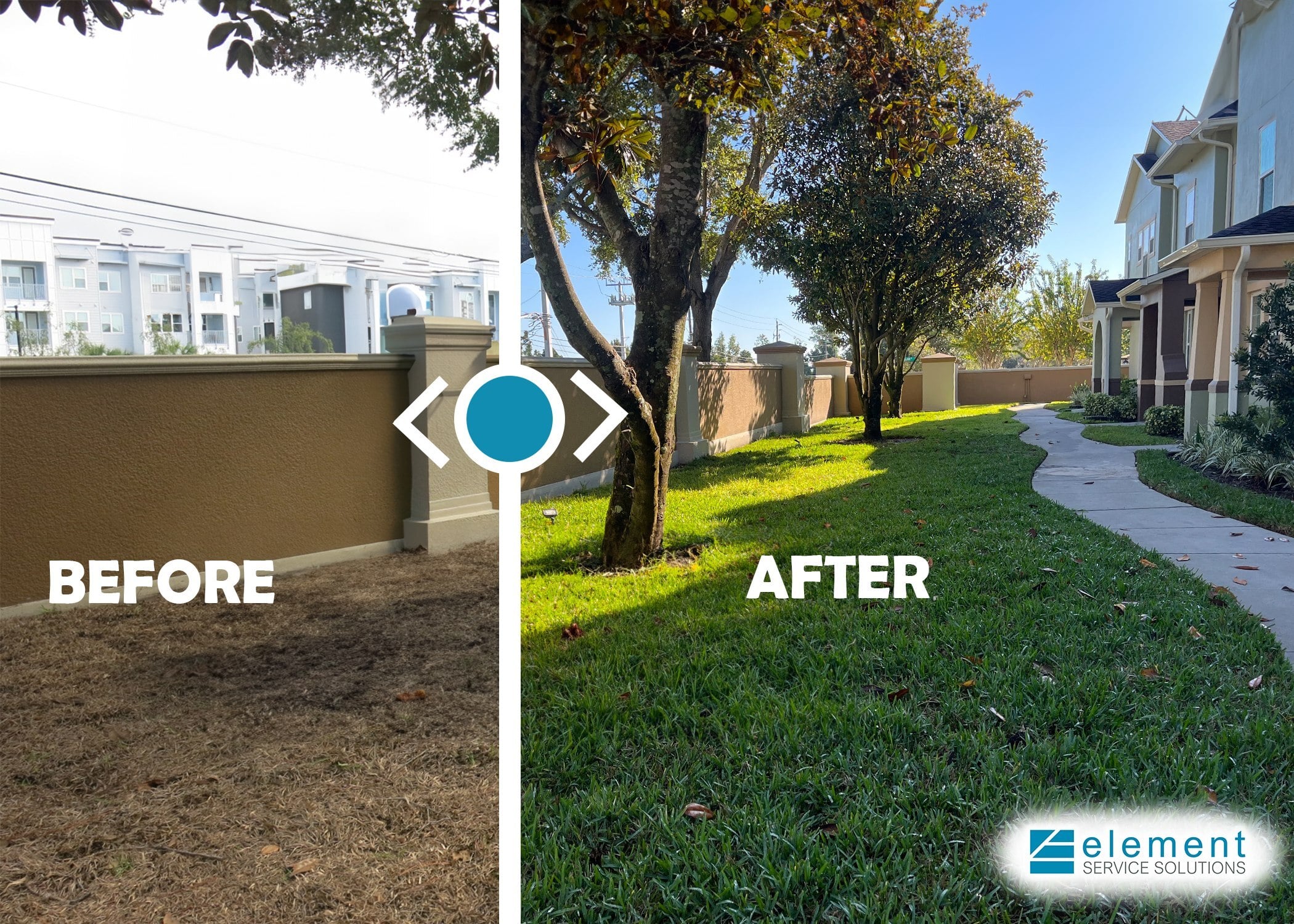 Before and after: dead turf along a community wall regraded and resodded by Element Service Solutions